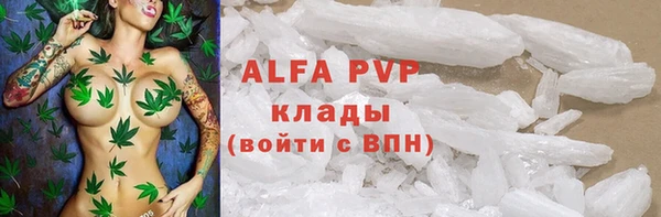 прущие грибы Армянск