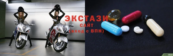 индика Сатка