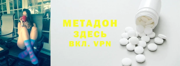 прущие грибы Армянск