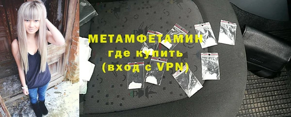 индика Сатка