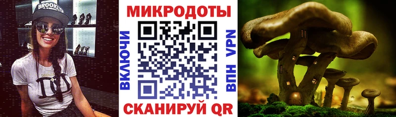 Псилоцибиновые грибы ЛСД  где найти   Междуреченск 