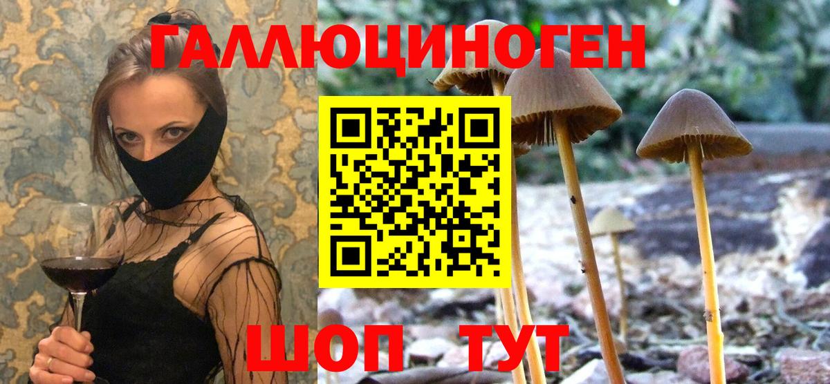 Междуреченск  Галлюциногенные грибы MAGIC MUSHROOMS  купить наркоту  Вход с VPN 